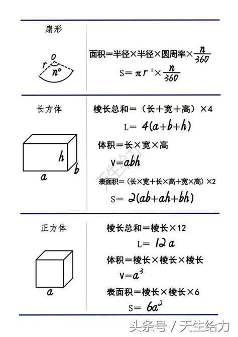 半圓表面面積|14. 平面及立體圖形 > 立體圖形的表面積及體積